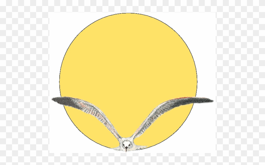 The Vacuum Seagull With Our Labelling Choice - Circle Clipart