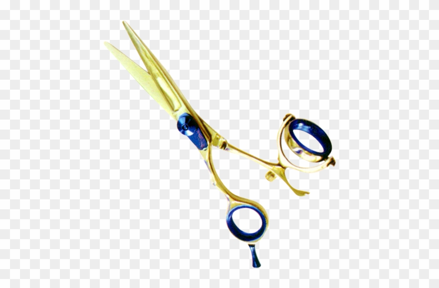Professional Hair Cutting Scissors Infused Multicolor - Ent Credit Union Clipart