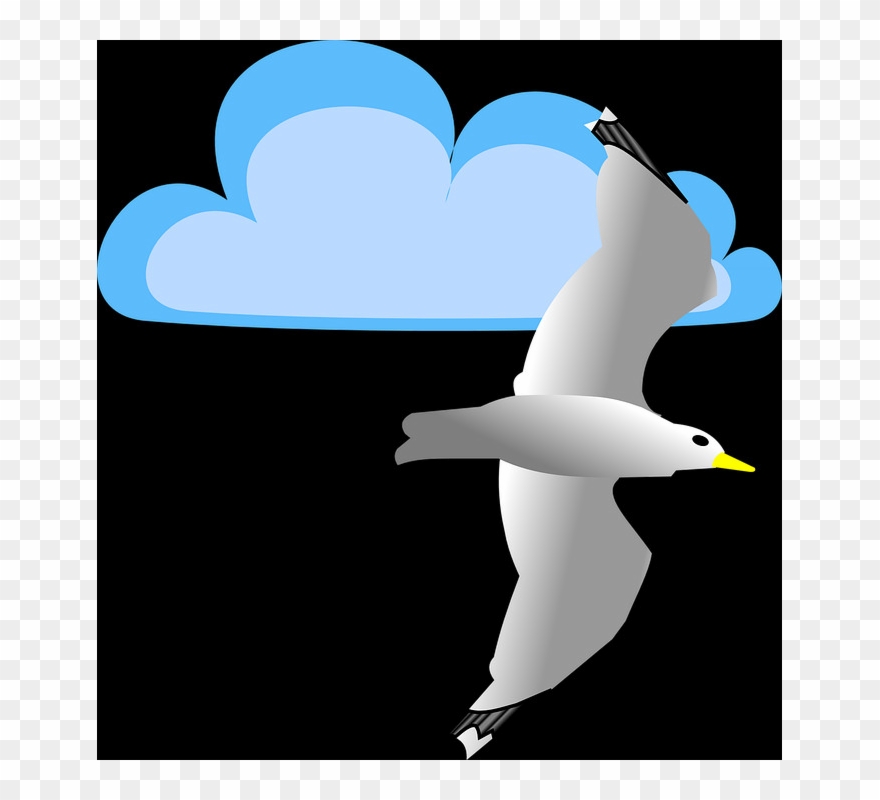 Free Seagull Pngs - Seabird Clipart