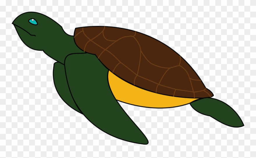 Sea Turtle - Green Sea Turtle Clipart