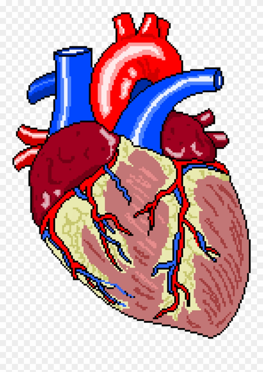 Medical Heritage Or Visit The Rnhrd Homepage, And If - Insuficiencia Cardiaca Png Vector Clipart