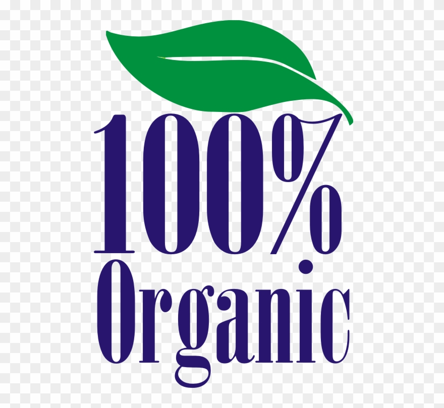 100% Organic Kids T-shirt - Exclusive Planner And Organizer For Monthly Bills Clipart