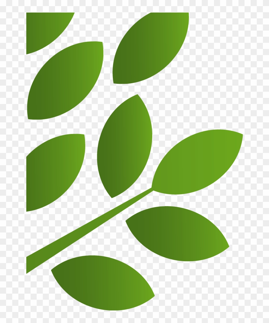 Local Roots Charlotte Metro Federal Credit - Charlotte Metro Credit Union Clipart