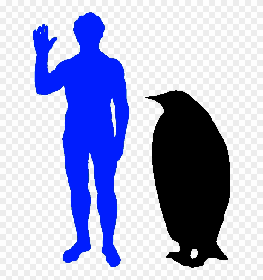 The Emperor Penguin Is The World's Biggest Penguin Clipart