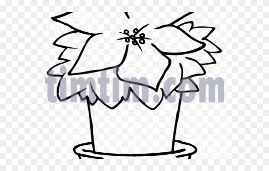 Poinsettia Clipart Potted - Coloring Book - Png Download
