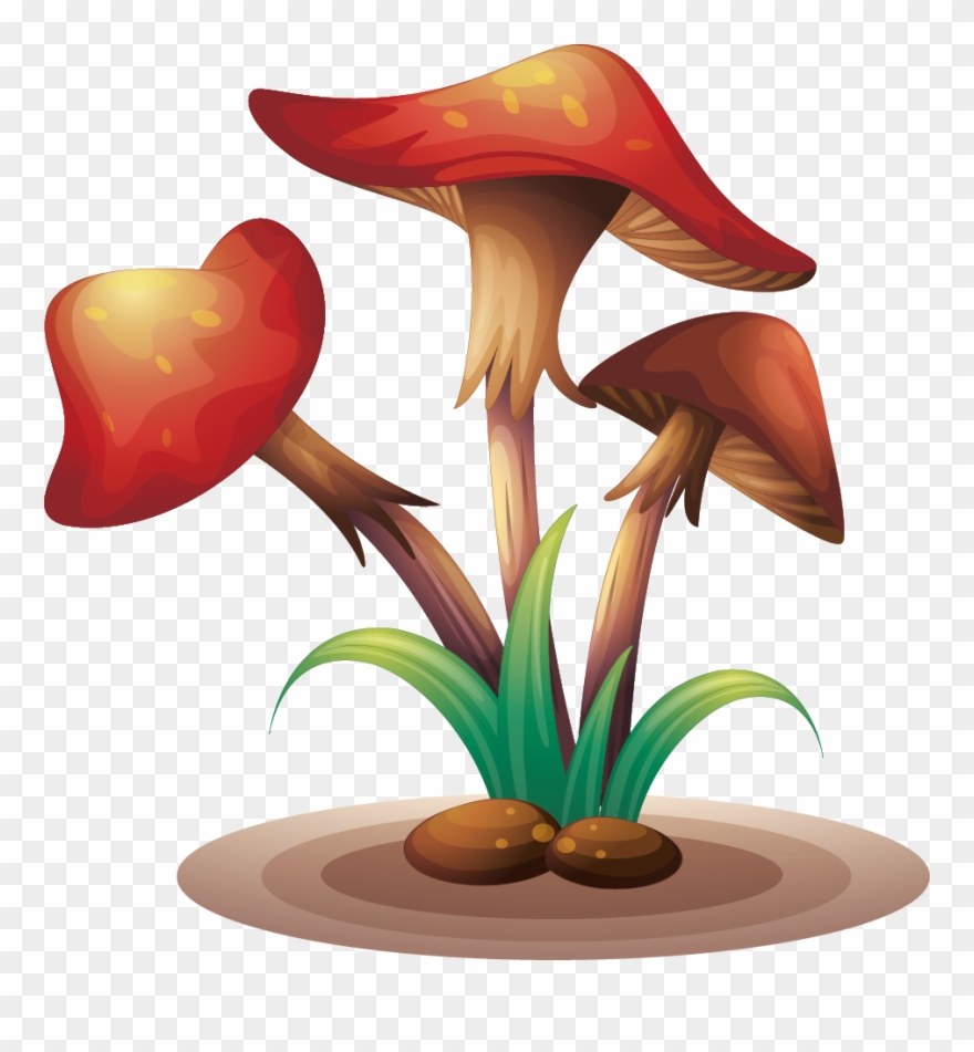 Fungus Clip Art Mushrooms - Clip Art - Png Download