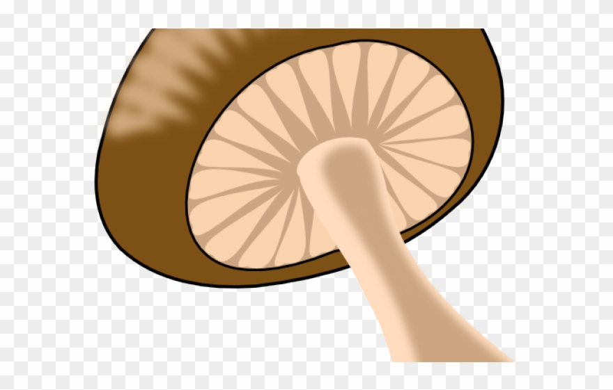 Mushroom Food Clipart - Png Download