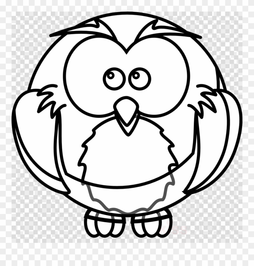 Cartoon Black And White Owl Clipart Owl Cartoon Clip - White Owl Clip Art Png Transparent Png