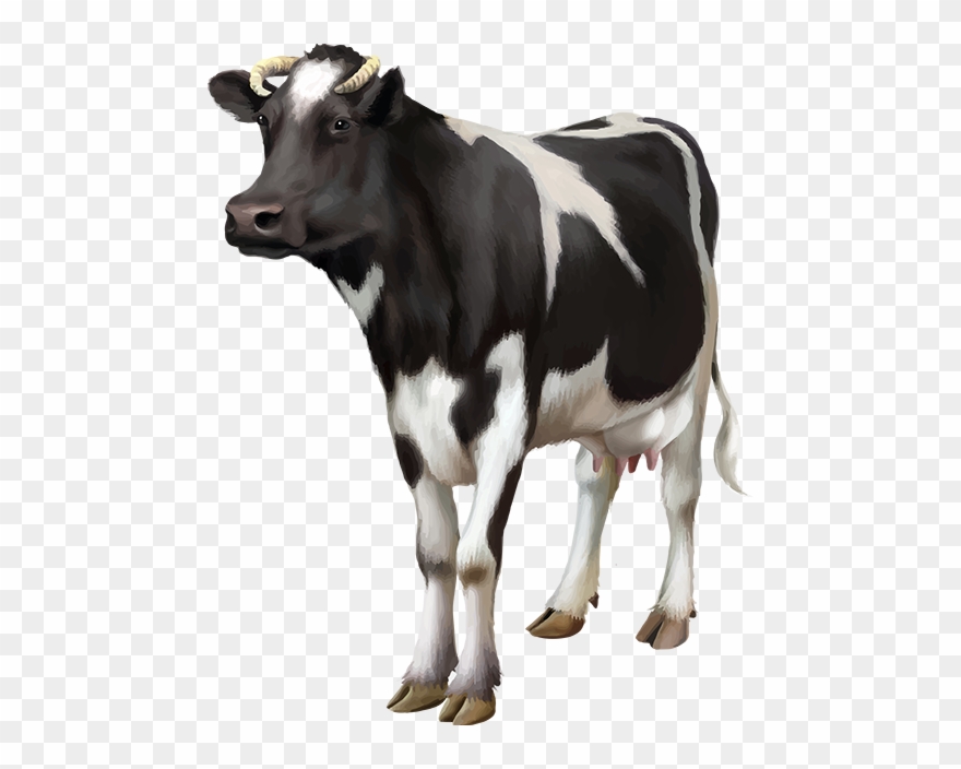 Tubes Vaches Photoshopped Animals, Cartoon Cow, Bull - Veterinary Vet Portable Ultrasound Scanner Machine Clipart