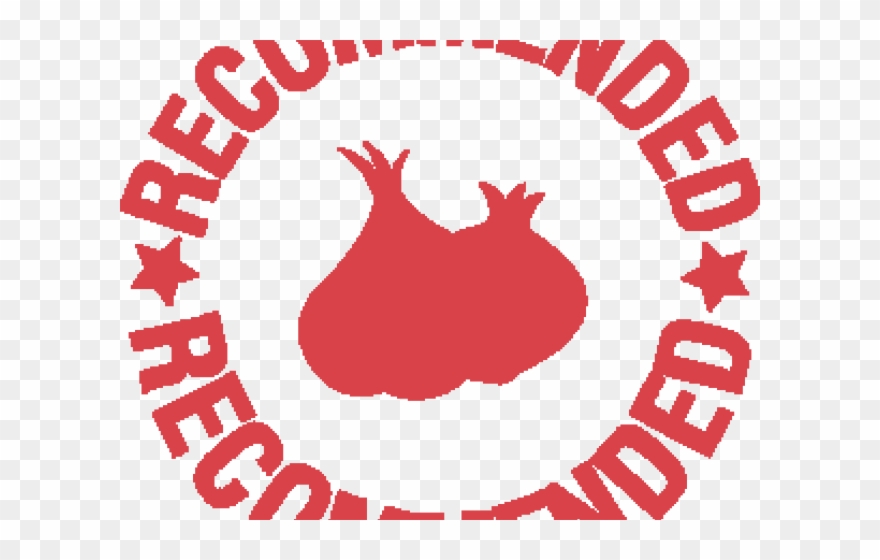Newport Folk Festival Clipart
