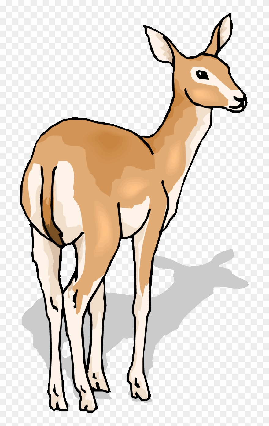 Baby Deer Clip Art Clipart Panda - Clip Art Deer Gif - Png Download