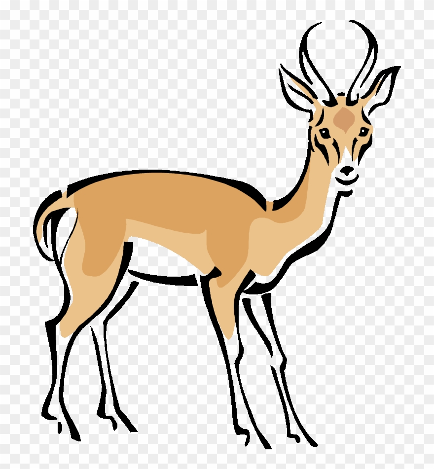 Gazelle Clipart Wild Deer - Addax Clipart - Png Download