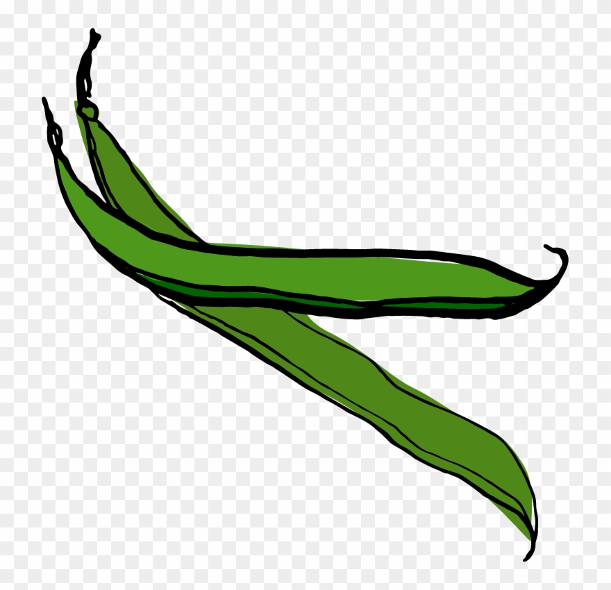 Runner Beans Clipart