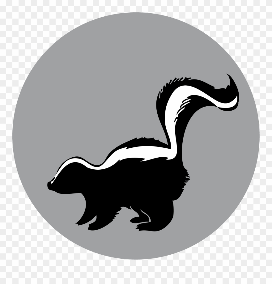 Raccoon American Mink Duck - Skunk Silhouette Clipart