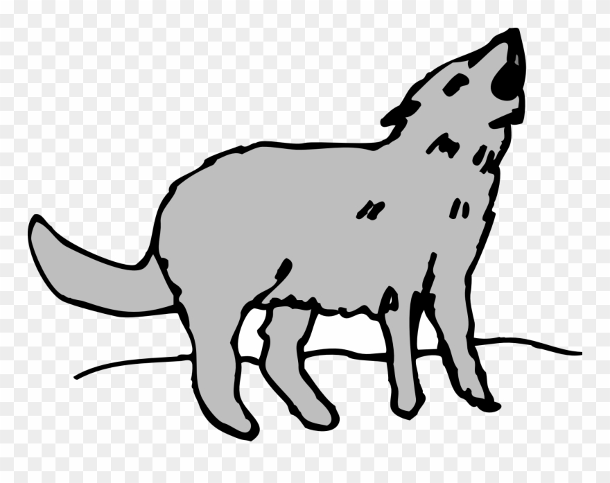 Gray Animal Coyote Howling - Cartoon Pictures Of Coyotes Clipart