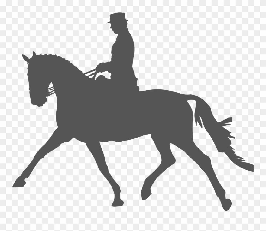 Horse Clip Equestrian - Black Reverse Dapple Horse - Png Download