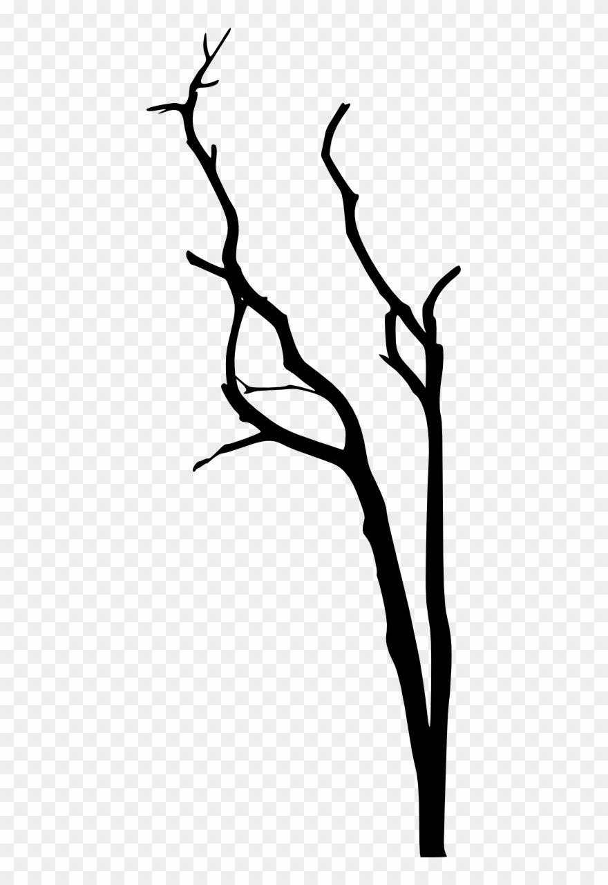 Free Download - Portable Network Graphics Clipart