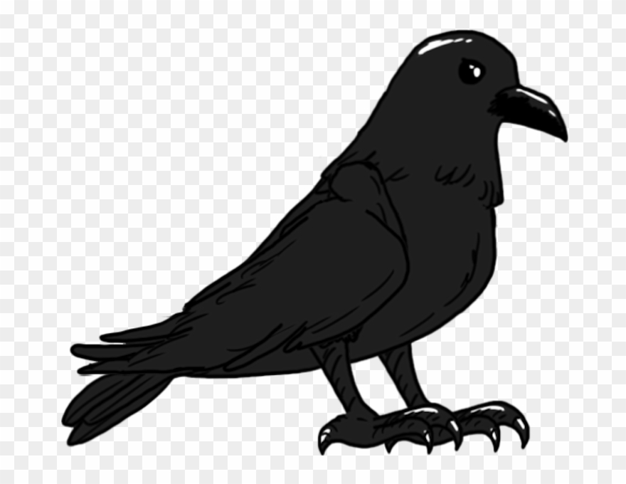 Crow - Spine - Vertebral Column Clipart