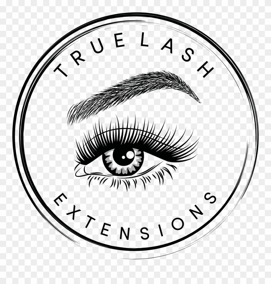Lashes Drawing Eyelash Extension - True Lash Clipart