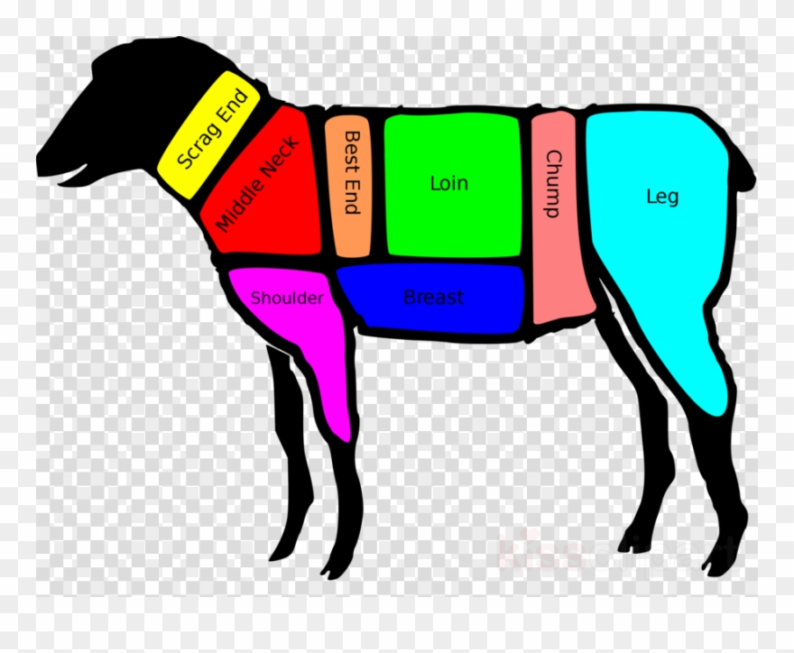 Lamb Shank On Lamb Clipart Sheep Lamb And Mutton Shank - Lamb Shanks Part Of Lamb - Png Download