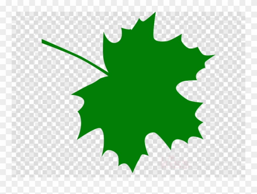 Green Maple Leaf Clipart Maple Leaf Clip Art - Wind Affecting Plant Growth - Png Download