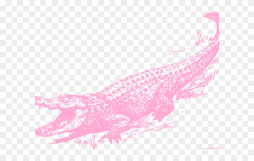 Alligator Clipart Name - Crocodile Black And White - Png Download