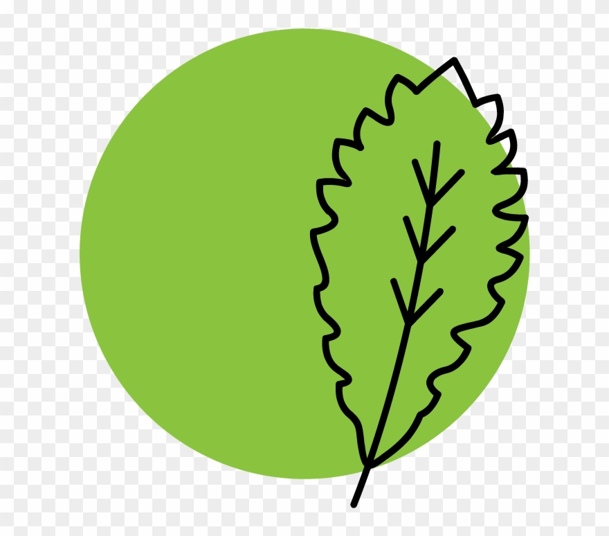 Mentors' Council - Illustration Clipart