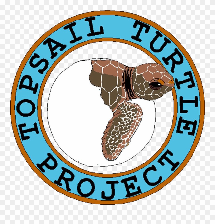 Topsail Turtle Project Clipart