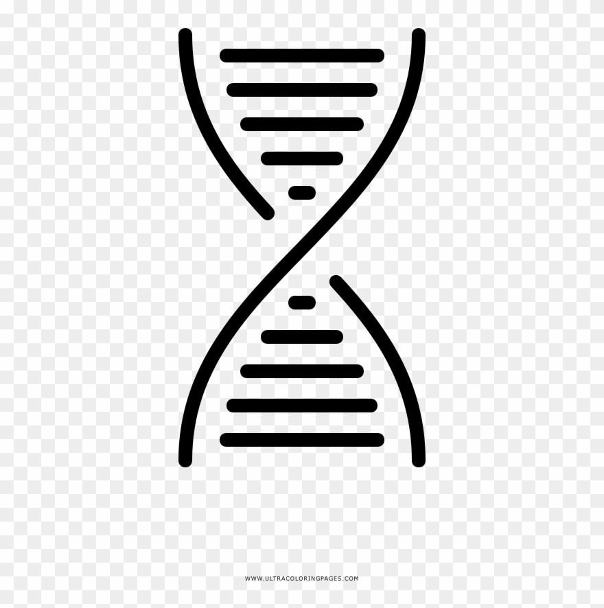 Dna Coloring Page - Dna Clipart