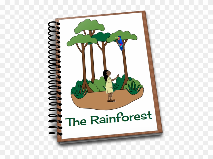 Rainforest Clipart Kapok Tree - Product - Png Download