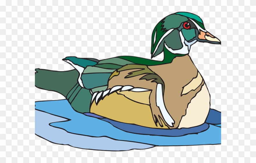 Duck Clipart Swimming - Clip Art - Png Download