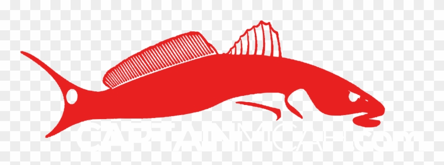 Central Florida Fishing Charters - Redfish Clipart - Png Download