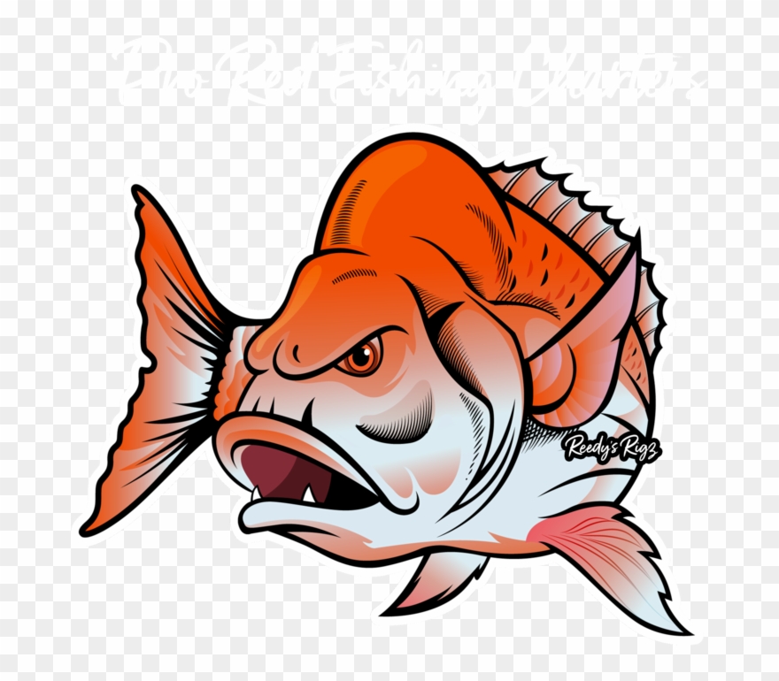Pro Red Fishing Charters Melbourne & Reedy's Rigz 2018 - Pro Red Fishing Charters Melbourne Clipart