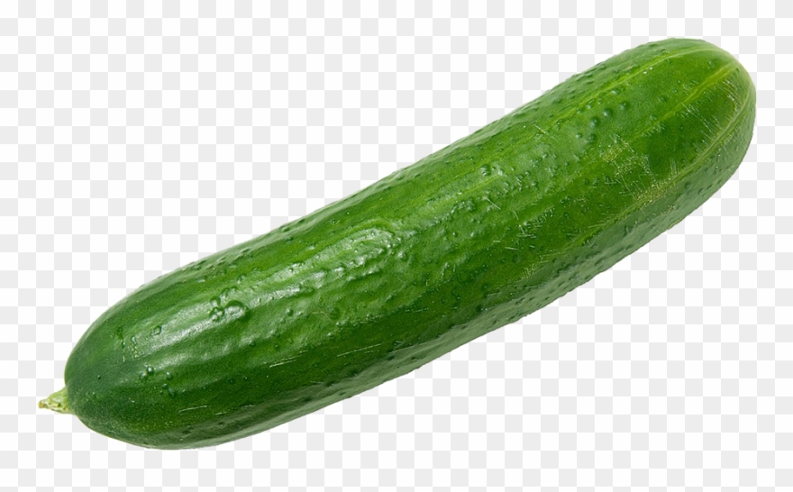 Cucumbers Png Clipart - Cucumber Png Transparent Png