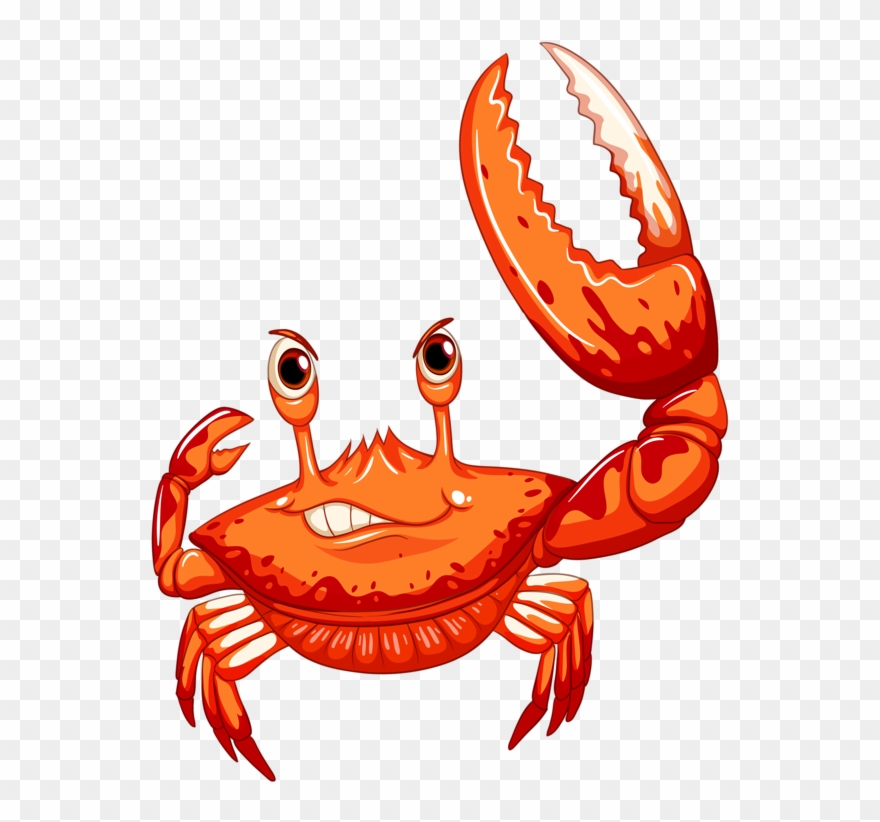 ○•‿✿⁀ocean Safari‿✿⁀•○ Safari - Crab Large Tote Bag, Adult Unisex, Natural, Large Clipart