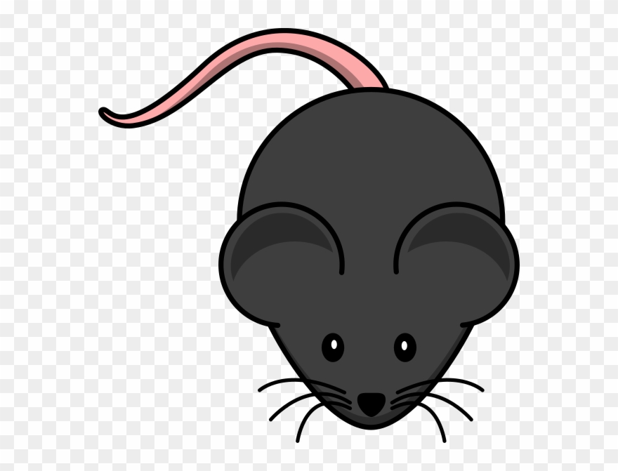 Black Mouse Clip Art - Png Download