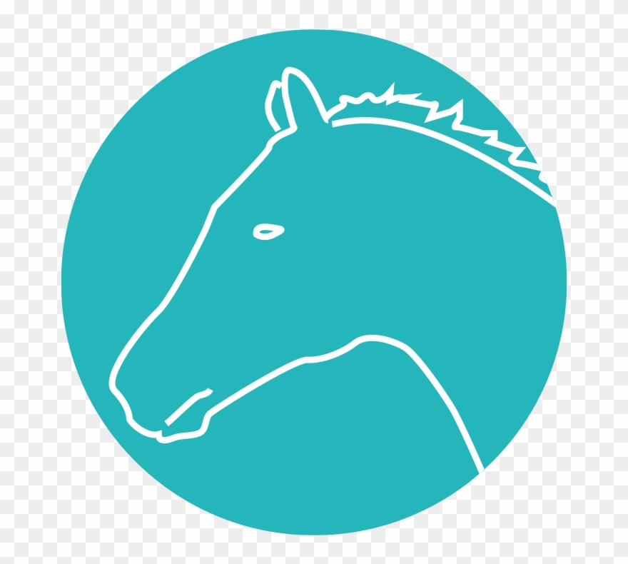 Horseback Riding - Microbiology Clipart Transparent - Png Download