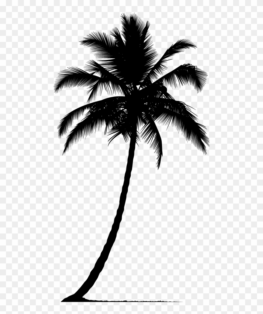 Arecaceae Silhouette Tree - Palm Tree Silhouette Png Clipart