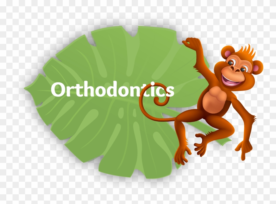 Haven Clipart Surroundings - Banana - Png Download