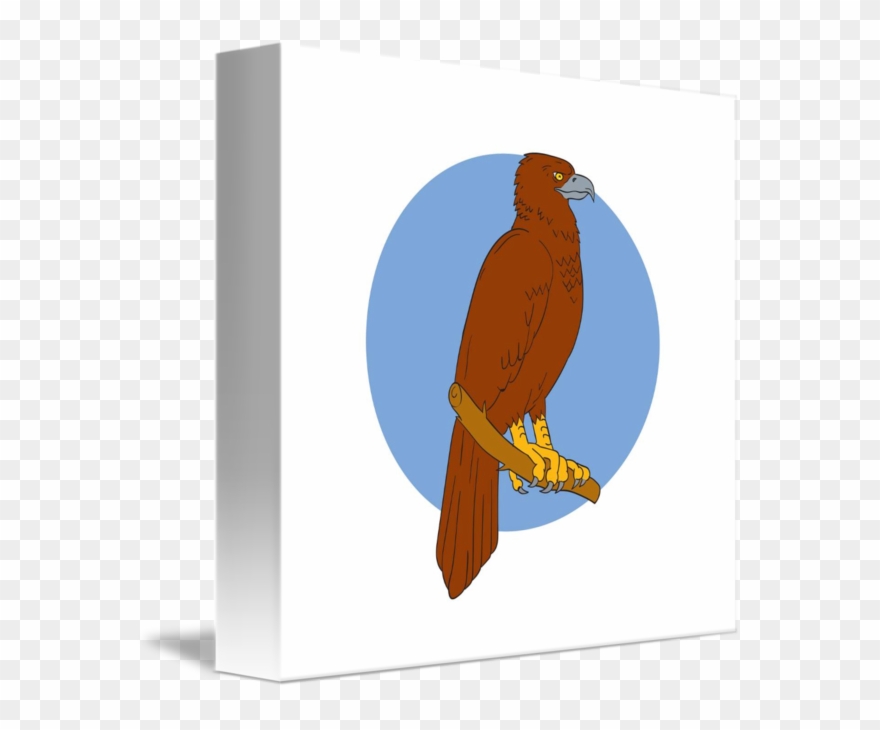 Australian Drawing Wedge Tail Eagle - Australian Wedge-tailed Eagle Perch Drawing Mugs Clipart