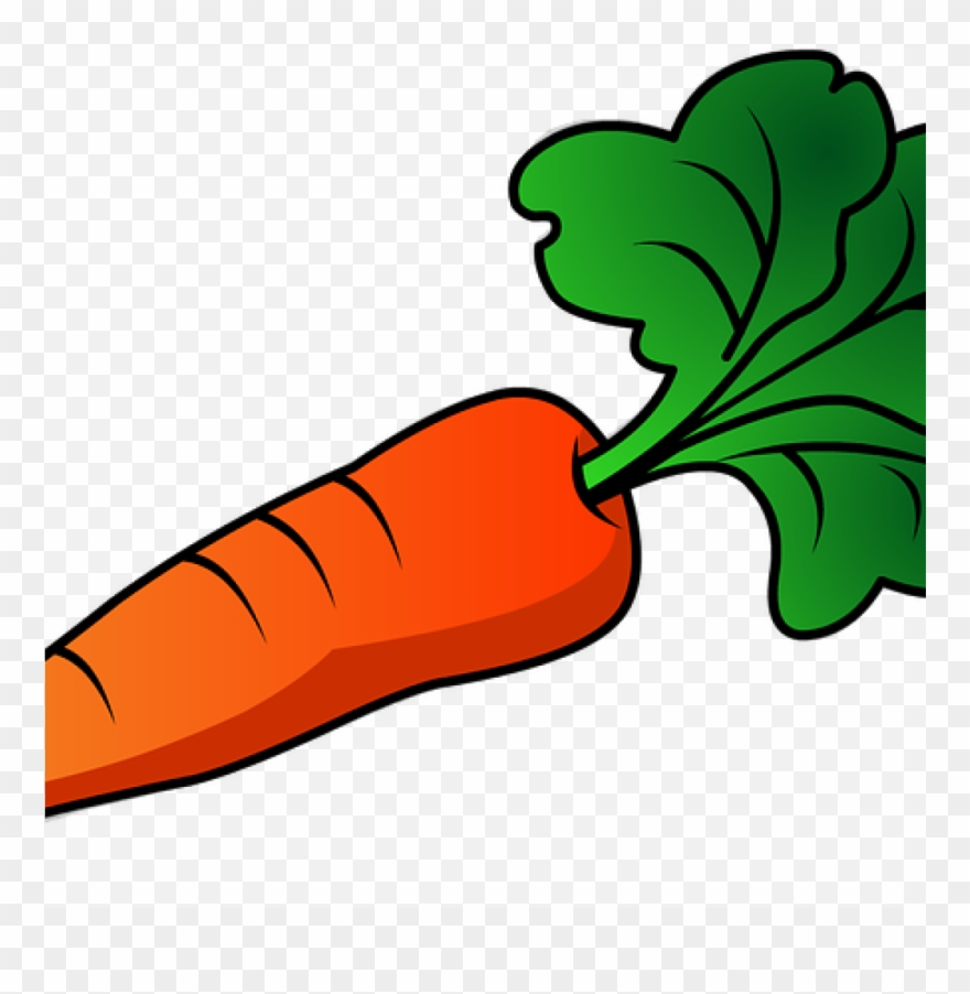 Free Carrot Clipart 19 Carrot Jpg Transparent Huge - Carrot Clip Art Png