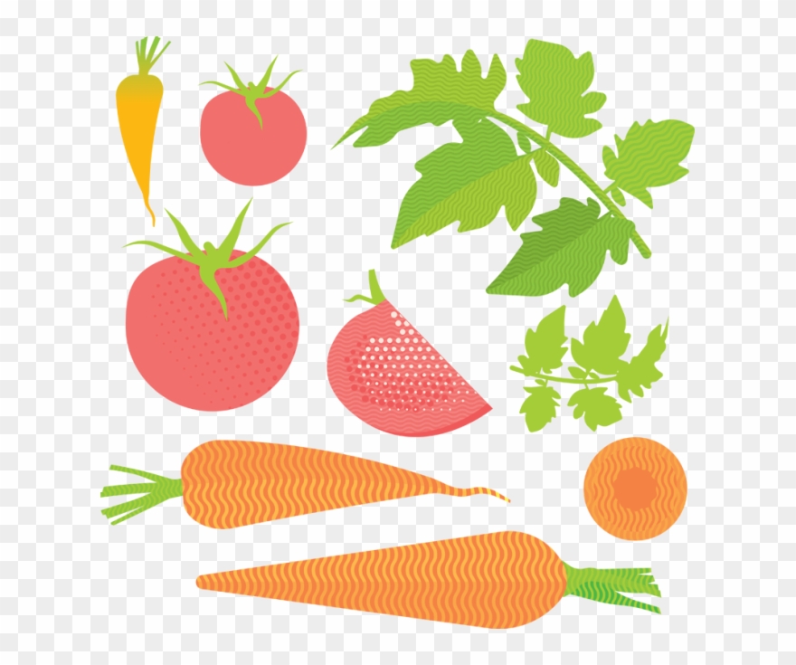 A Lesson In Home Canning - Illustration Clipart