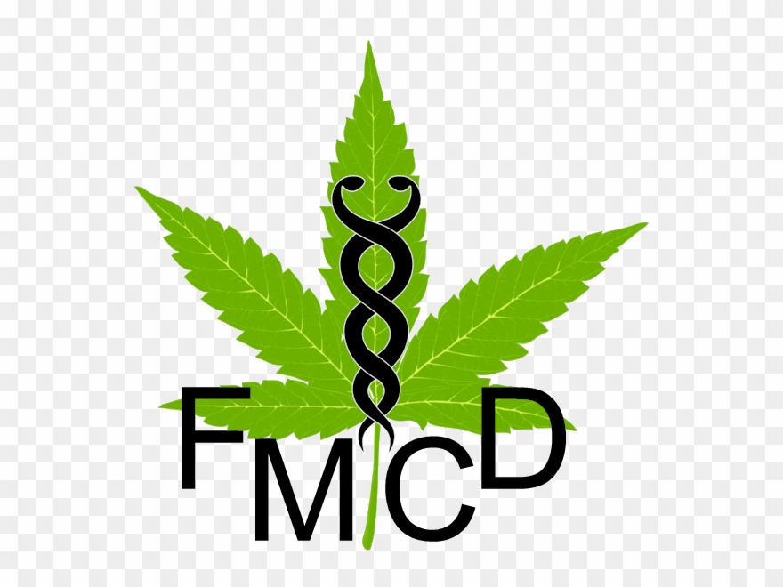 Florida Medical Cannabis Doctors Providing Natures - Drawing Clipart