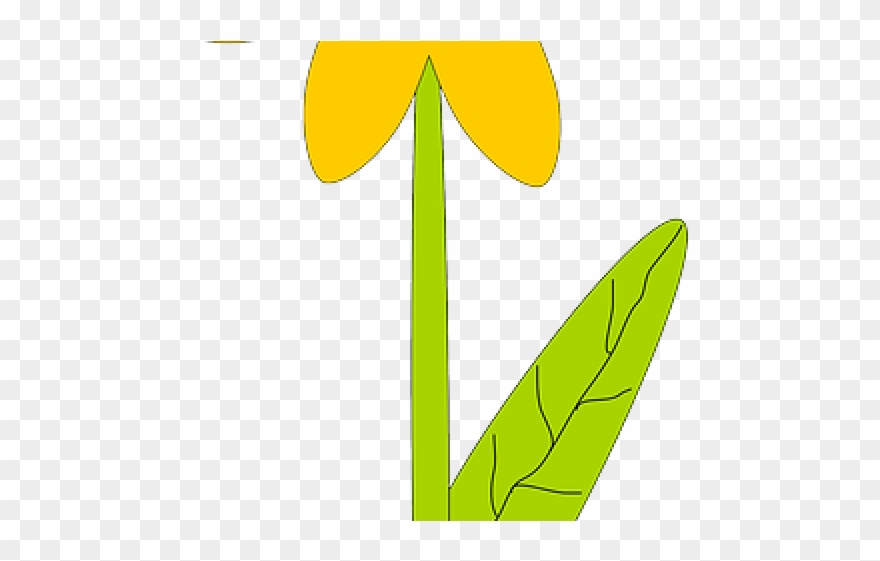 Sunflower Clipart Bunga Matahari - Plants Cartoon - Png Download