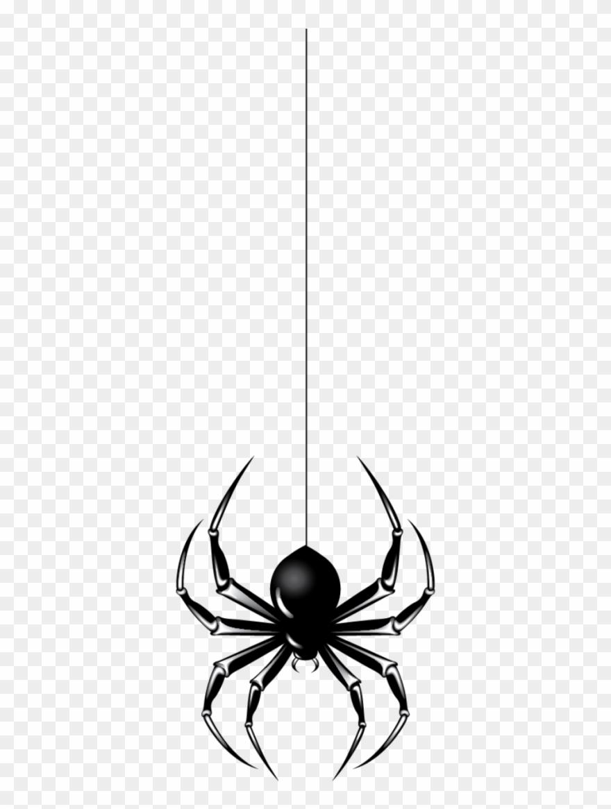 Halloween Spider File - Png Spider Clipart