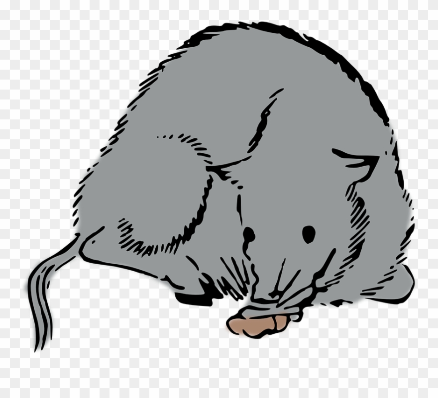 Hedgehog Cliparts Free 18, Buy Clip Art - Png Download