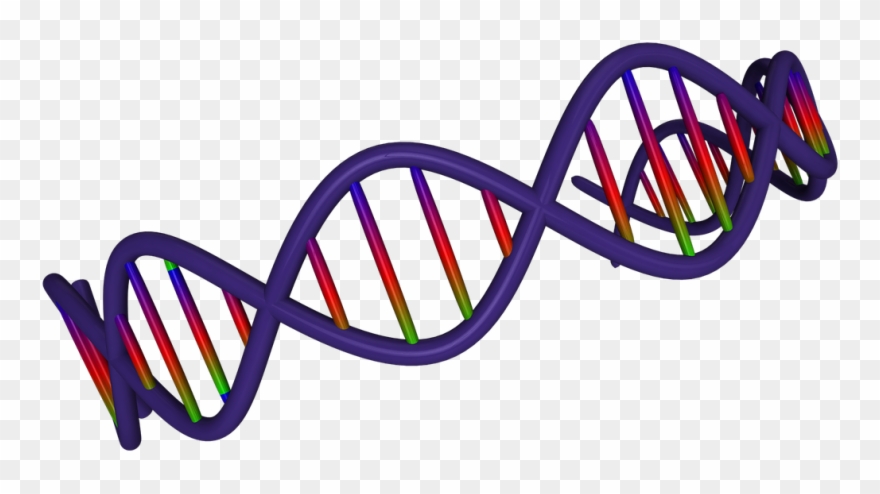 Pictures - Adn Fondo Transparente Clipart