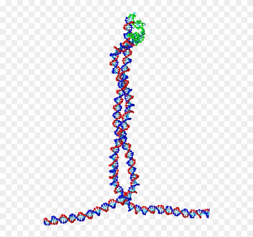 A Tetrahedral Dna Cage As Made By The Group Of Chengde - Nucleic Acid Double Helix Clipart
