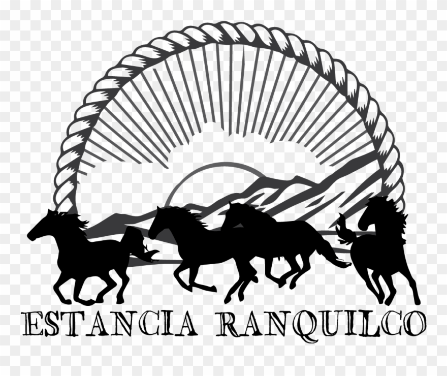 Micro Case Studies - Lovely Horse Running Sticker Clipart