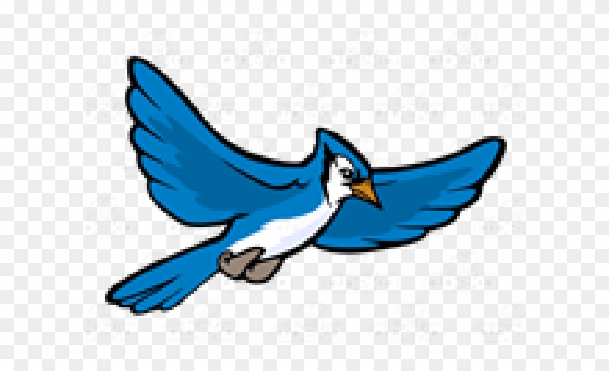 Jay Clipart Flying Blue - Blue Jay - Png Download